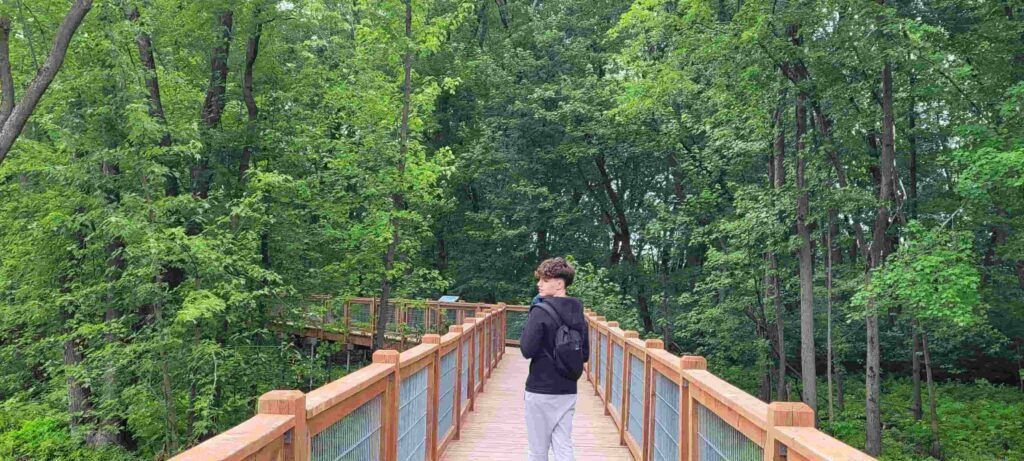 Zona pantanosa en Rosemere, cerca de Montreal