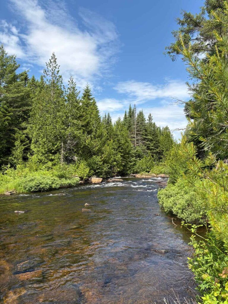 Riachuelo en el Parque Nacional de La Mauricie en Quebec, Canadá