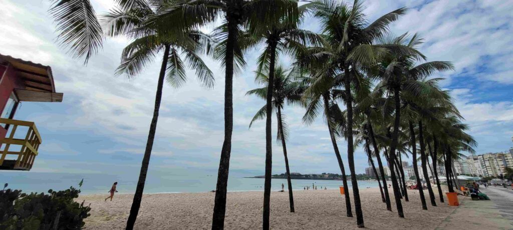 Palmeras en el Paseo Marítimo de Copacabana, Río de Janeiro