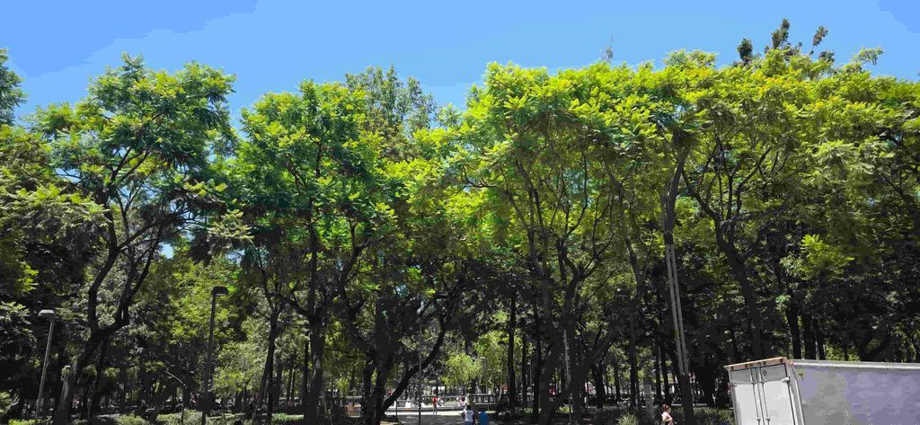 La Alameda Central, en Ciudad de México