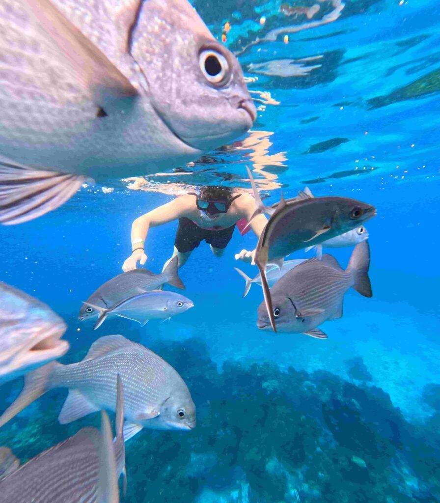 chico haciendo snorkel en los arrecifes de Palancar y Colombia, en la isla de Cozumel